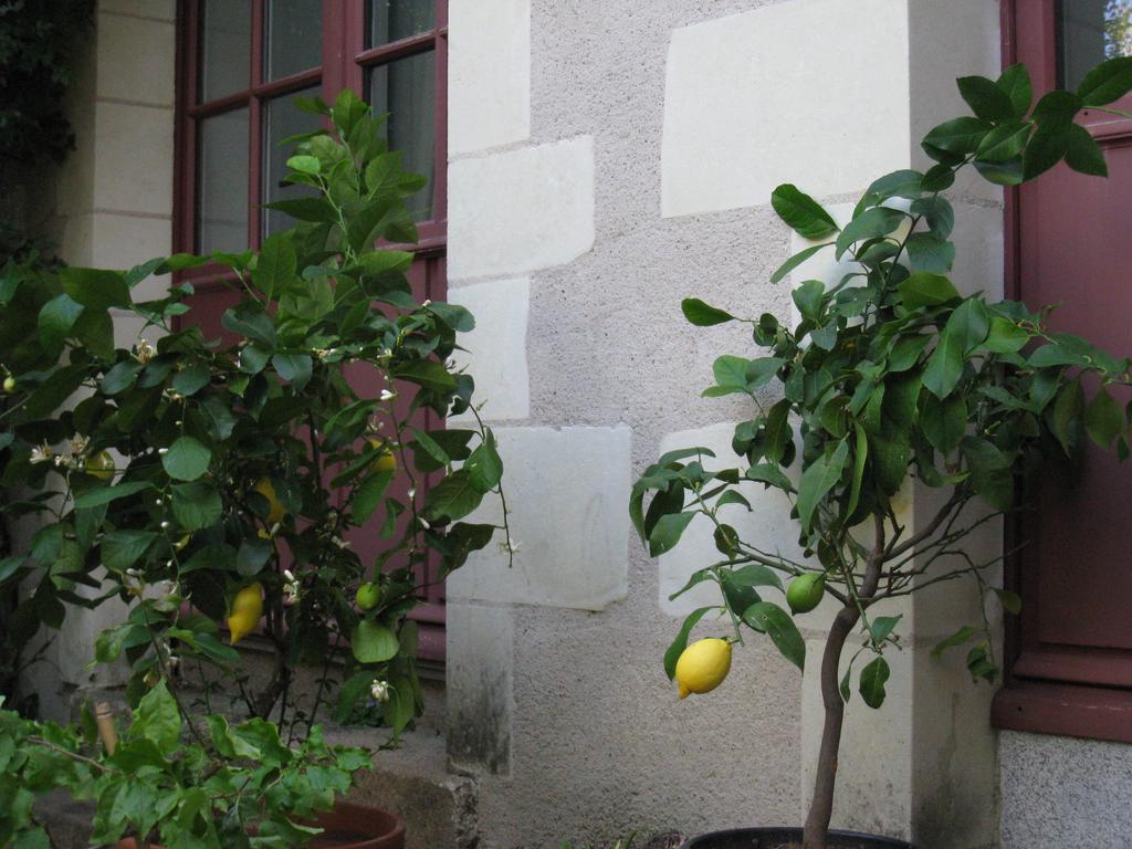 Bed and Breakfast Le Logis Des Tourelles Beaupréau Exterior foto